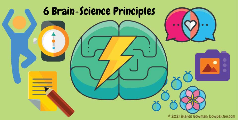 6 Brain-Science Principles Every Trainer Must Know – Trainers Warehouse