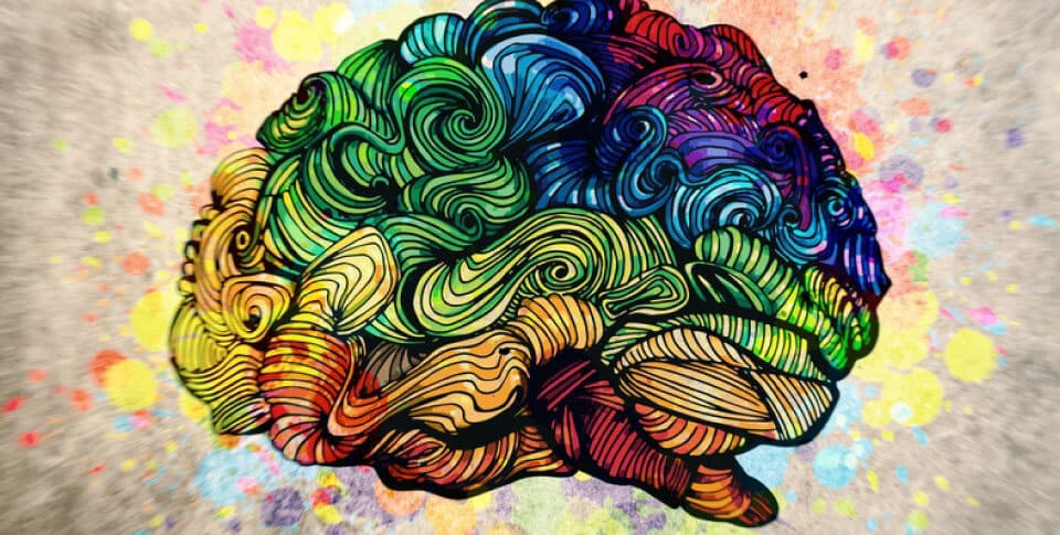Colorful image of a brain`