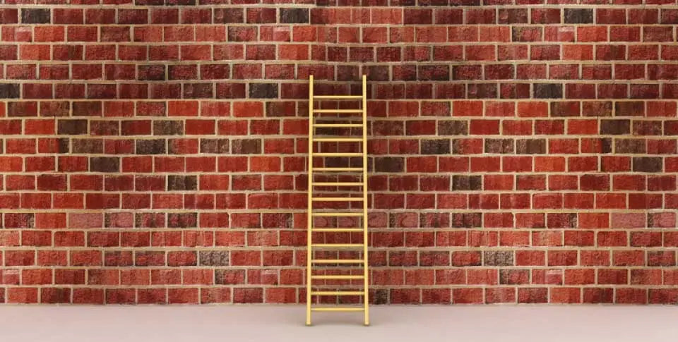 Ladder of Inference to Minimize Misunderstandings - training supplies