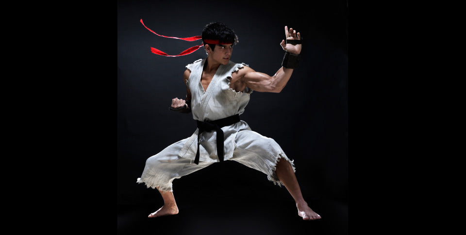 ninja fighter