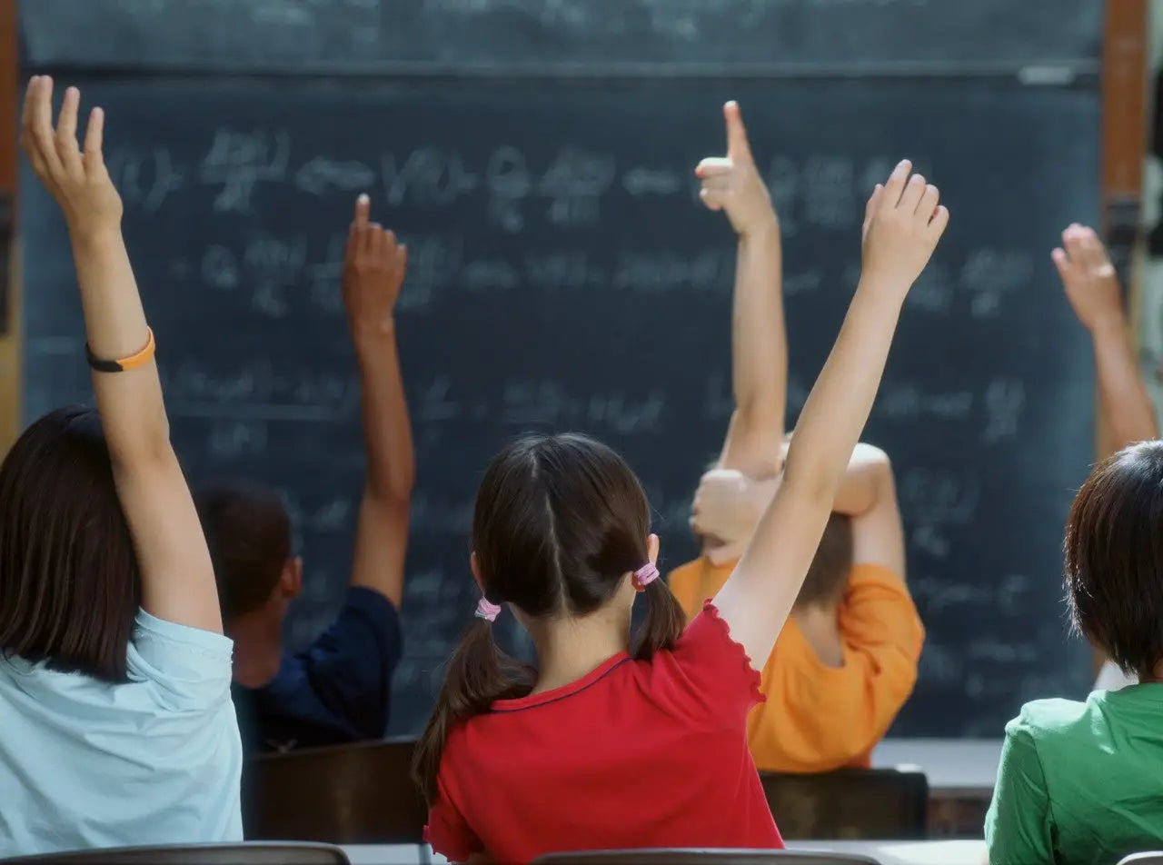 young students raising their hands in class