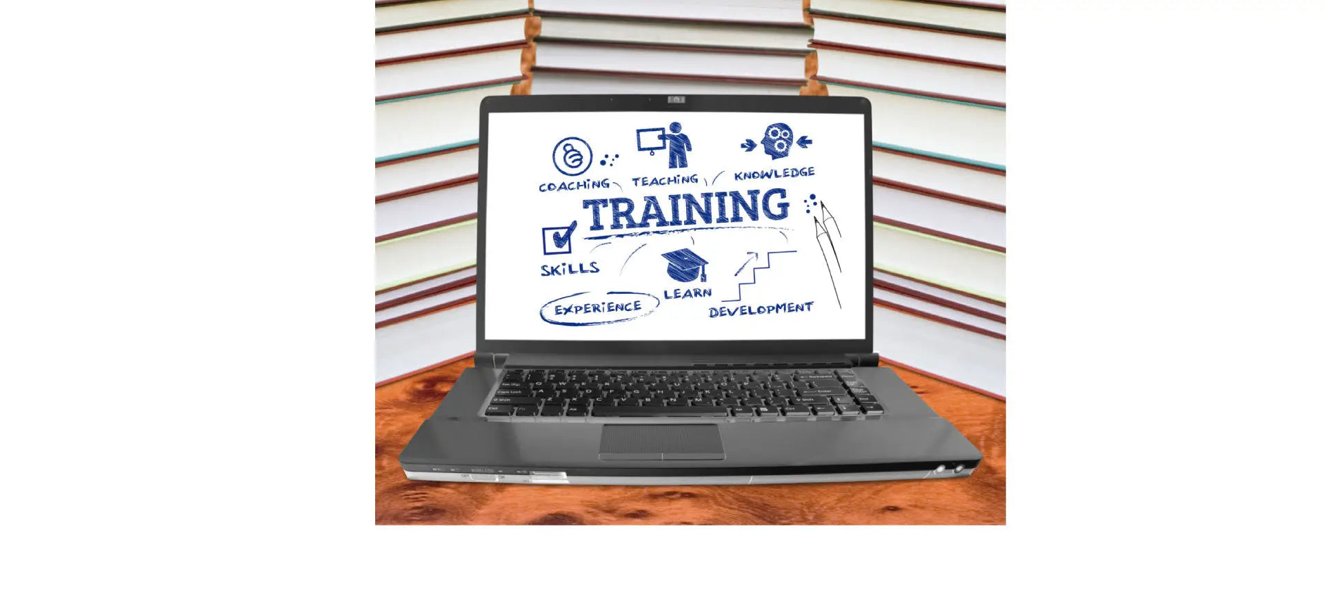Trainers Warehouse - Complete Curricula for work