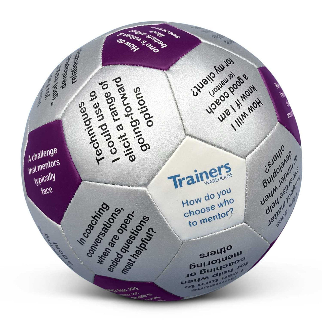 Mentoring and Coaching Thumball Alternative Image