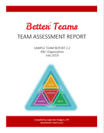 Better Teams Online Assessment Model - Assessment Report Cover