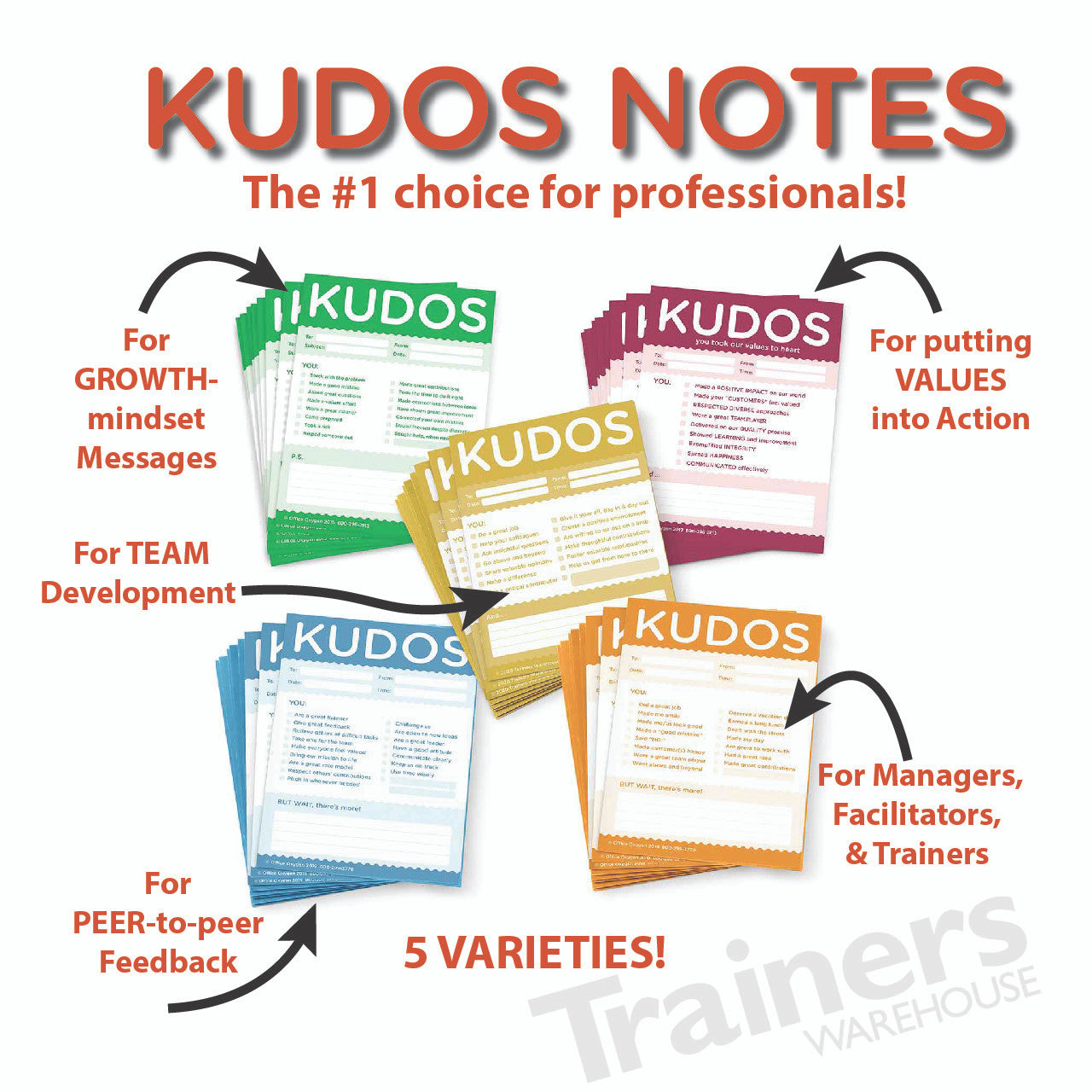 Kudos Notes Assorted Set of 5 Callouts