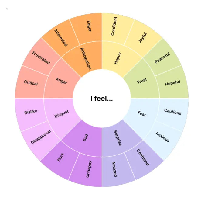 Feelings Wheel Template by Zoom