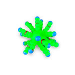 Atom Ball