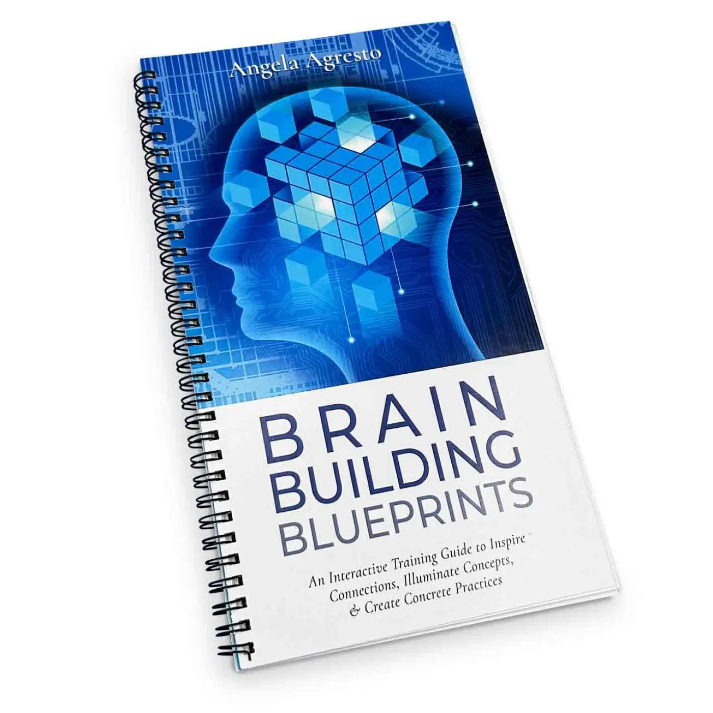 Brain Building Blueprint FlipBook