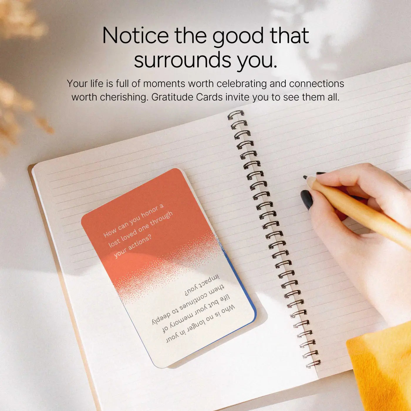 Gratitude Cards - One Deck - Cards - Trainers Warehouse