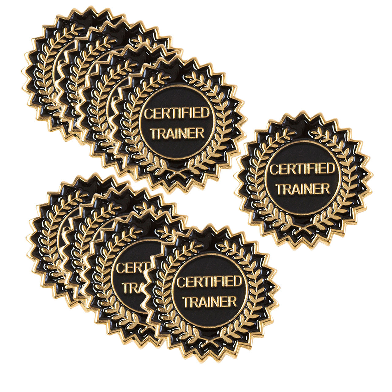 Certified Trainer Lapel Pins Laurel set of 10