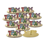Success Through Teamwork Lapel Pins; set of 10