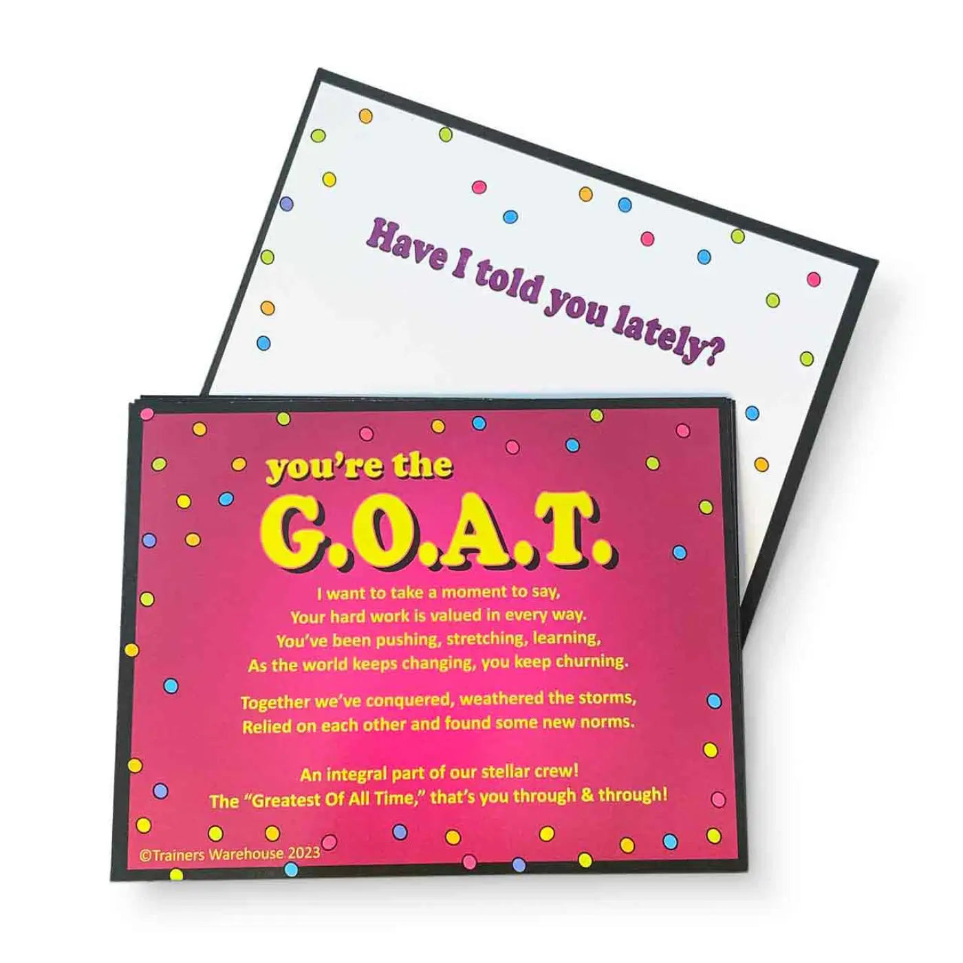 Raving Rhymes - You're the G.O.A.T. - front and back
