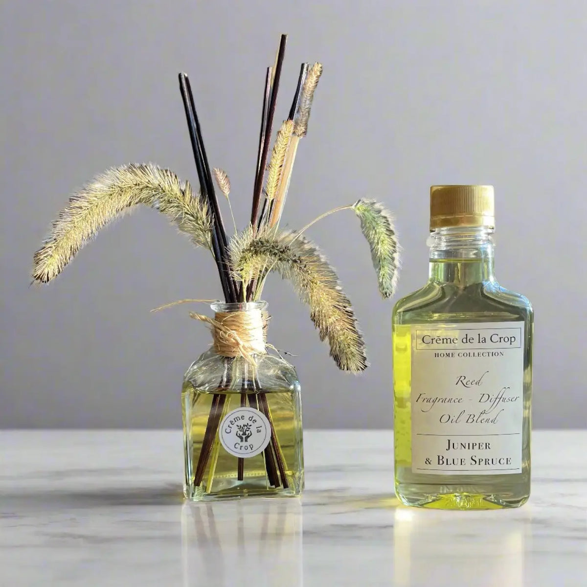 Reed Fragrance - Diffuser Starter Kit - Juniper & Blue Spruce - Trainers Warehouse