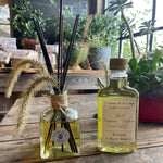 Reed Fragrance - Diffuser Starter Kit - Juniper & Blue Spruce - Trainers Warehouse