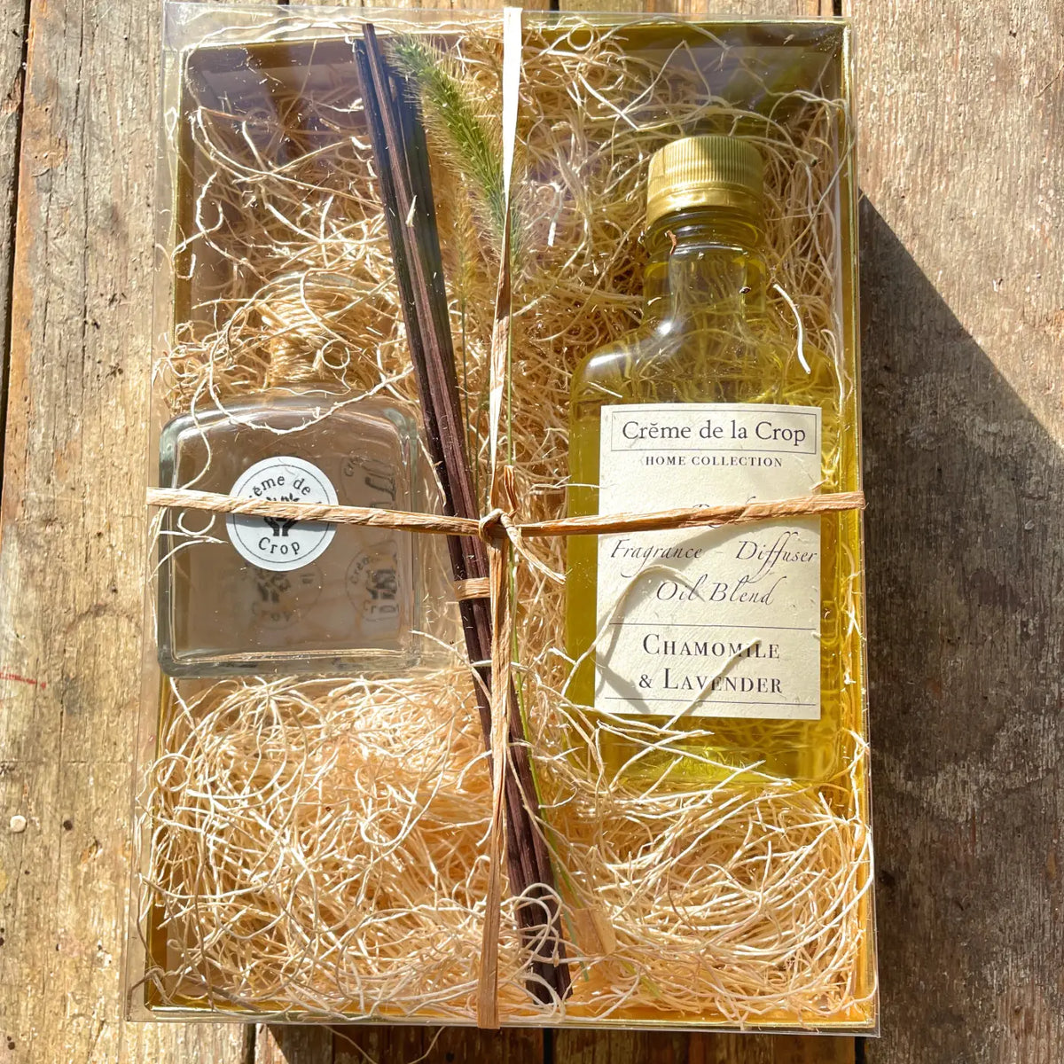 Reed Fragrance - Diffuser Starter Kit - Juniper & Blue Spruce - Starter Kit - Trainers Warehouse