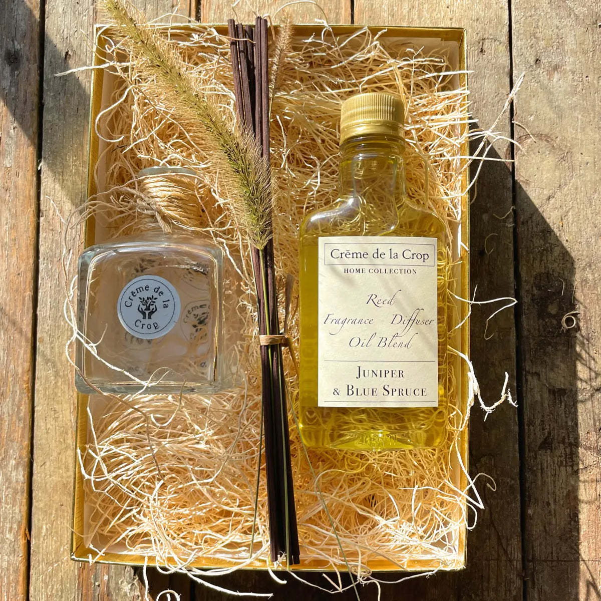 Reed Fragrance - Diffuser Starter Kit - Juniper & Blue Spruce - Trainers Warehouse