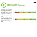 TEAM Assessment - "E" Sample results