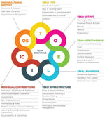 TEAM Assessment - 7 criteria of team performance explained